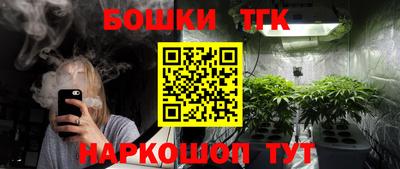 прущие грибы Можга