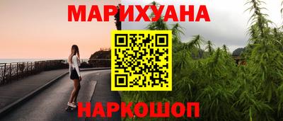 прущие грибы Можга