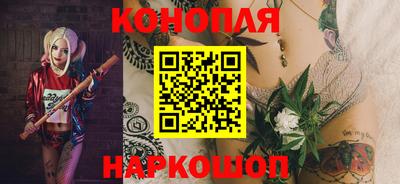прущие грибы Можга